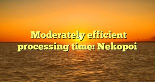  Moderately efficient processing time: Nekopoi